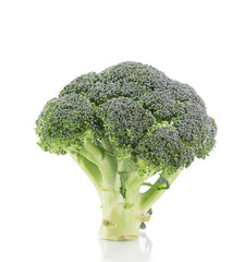 Beautiful ripe broccoli.