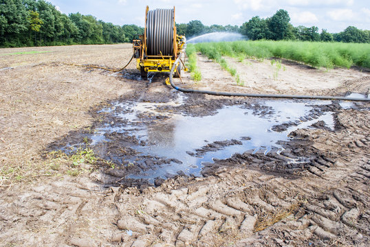 Irrigation