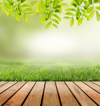 Green grass and wooden plank on the blurred background.