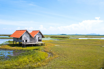 Wooden cottage on green field, Thailand