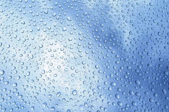 water drops and rain drops