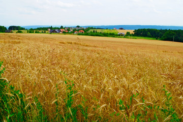 Rural landscape in southern Poland.