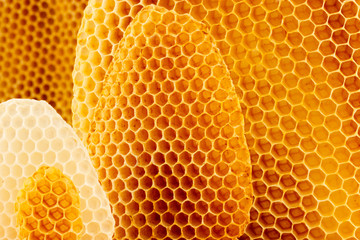 Honeycomb background - obrazy, fototapety, plakaty