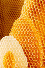 Honeycomb background