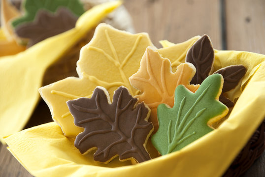 Autumn Buiscuit Closeup
