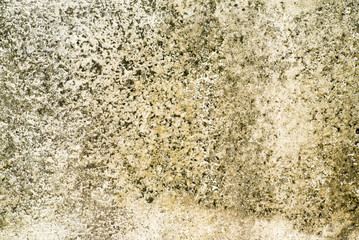 Old wall 
