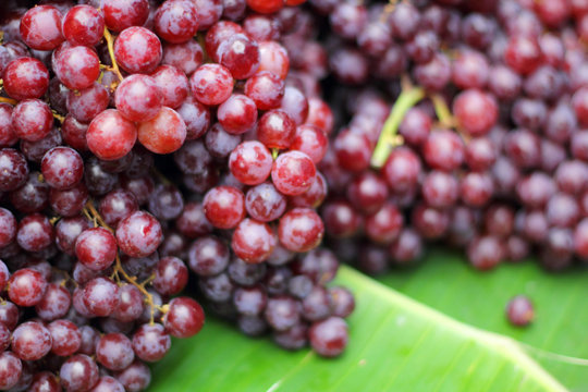Close up fresh fruit grape in nature