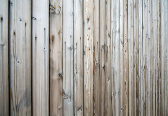 Wood texture