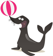 otarie jonglant avec un ballon