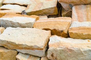 Sandsteine für Trockenmauer