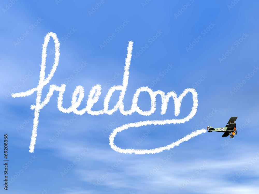 Canvas Prints freedom text from biplan smoke - 3d render