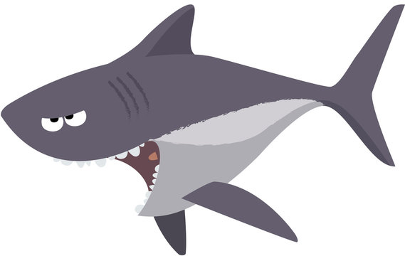 requin