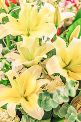 Obraz premium Bouquet abstract