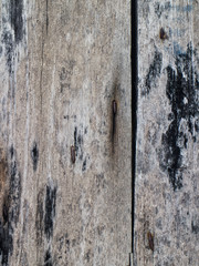 wood plank wall texture background
