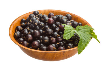 Black currant