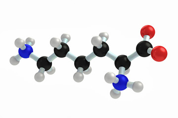 lysine