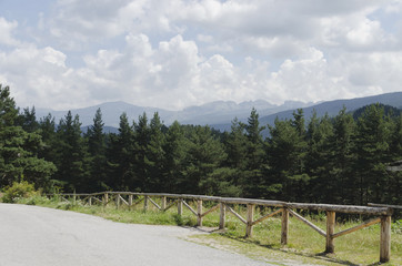 Fototapeta na wymiar Way through green forest and high peaks in Rila mountain