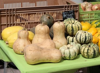 Courges et pâtissons au marché