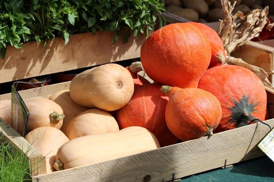Potimarrons et courges au march&eacute;