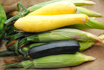 Fresh Organic Harvested Veggies From a Home Garden