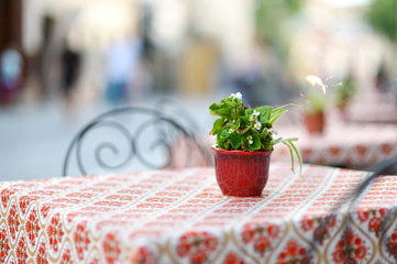 Beautiful outdoor restaurant in Vilnius