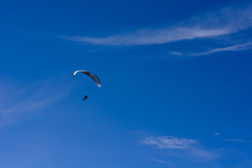 Parachutist