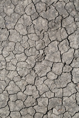 Dry land