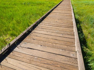 wooden walkway among green grass field background - 69218157