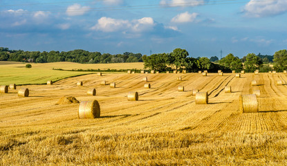 Hay bales