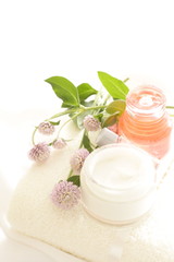 Fototapeta na wymiar moisturizer and lotion for beauty image