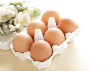 freshness brown egg in carton