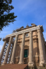 Naklejka premium Forum Romanum in Rom