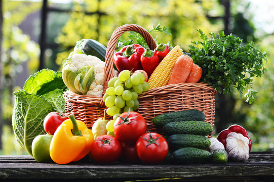 Fototapeta Wicker basket with assorted raw organic vegetables in the garden