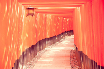 Fototapeta premium Red door named Torii in Fushimi Inari shrine, Kyoto, Japan in vi