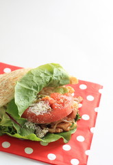 Homemade beef and tomato pita bread