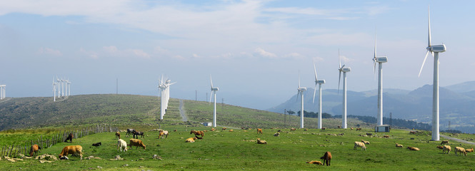 Wind farm panorama - cleantech