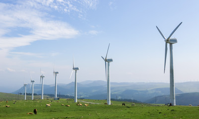 Wind farm in a green field - renewable energy