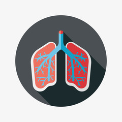 Lungs flat icon with long shadow