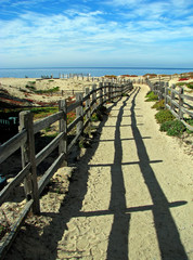 Pathway to Ocean on Monterey Bay Beach California