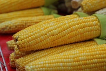 Sweet corn in the market