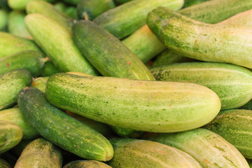 Fresh cucumber in the market