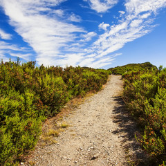 Fototapeta na wymiar Mountain trail and blue sky with clouds in Los Ancares, Leon.