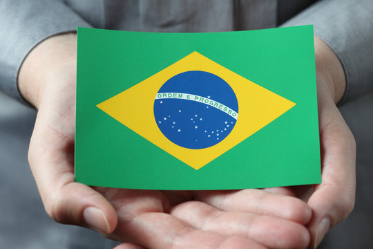 Brazilian flag in palms