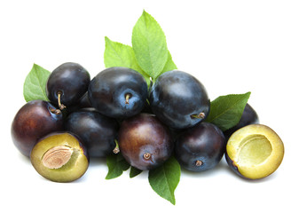 Fresh purple plums
