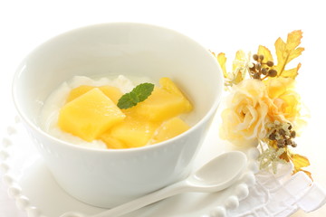 canned mango 