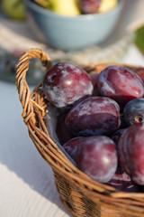 Ernte im Herbst, grüne Äpfeln und Pflaumen