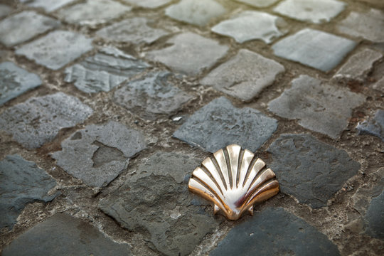 Santiago Pilgrims shell in Brussels
