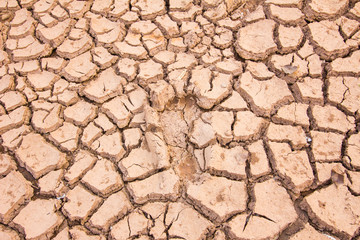 background of cracked earth