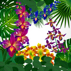 Tropical flowers and leaves. Floral design background.