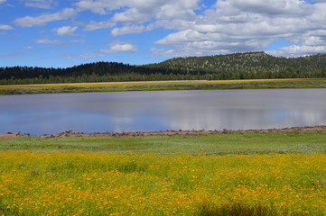 Greer Lake in northern Arizona